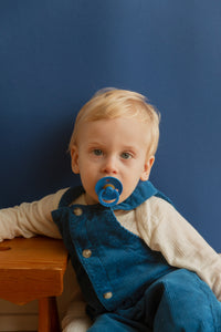 BIBS Colour - Vanilla & Cornflower (Twin Pack)