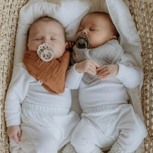 Load image into Gallery viewer, BIBS Boheme - Sage &amp; Cloud (Twin Pack)