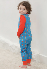Load image into Gallery viewer, Dungarees - Parrot