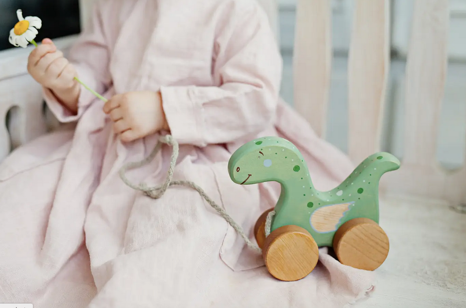Dinosaur Wooden Pull Toy