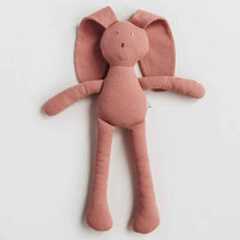 Load image into Gallery viewer, Organic Snuggle Bunny - Rose