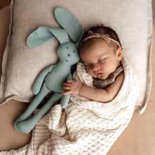 Load image into Gallery viewer, Organic Snuggle Bunny - Sage